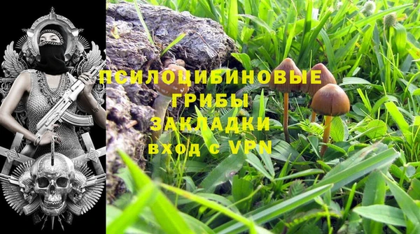 каннабис Абаза
