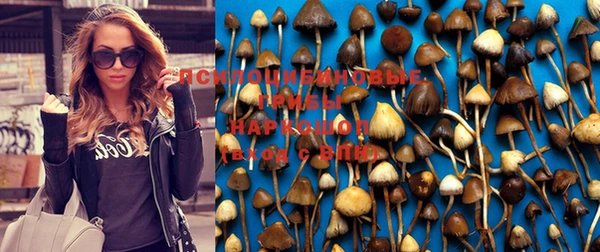 индика Абдулино