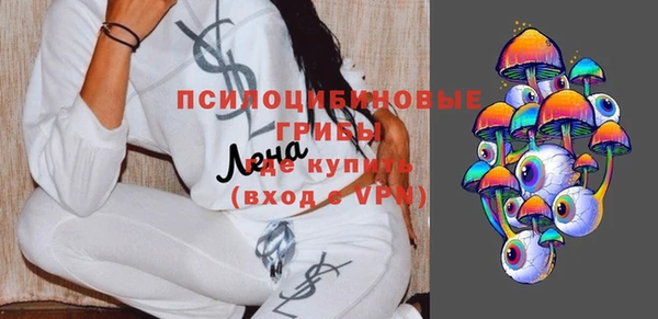индика Абдулино