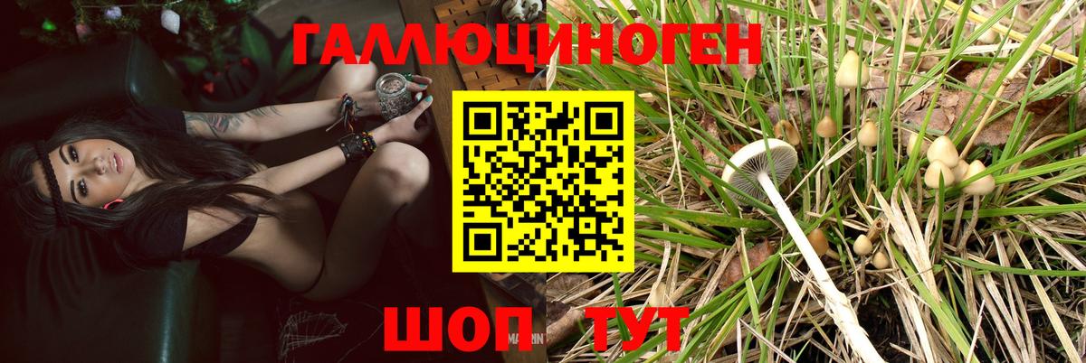 Галлюциногенные грибы Magic Shrooms Энгельс
